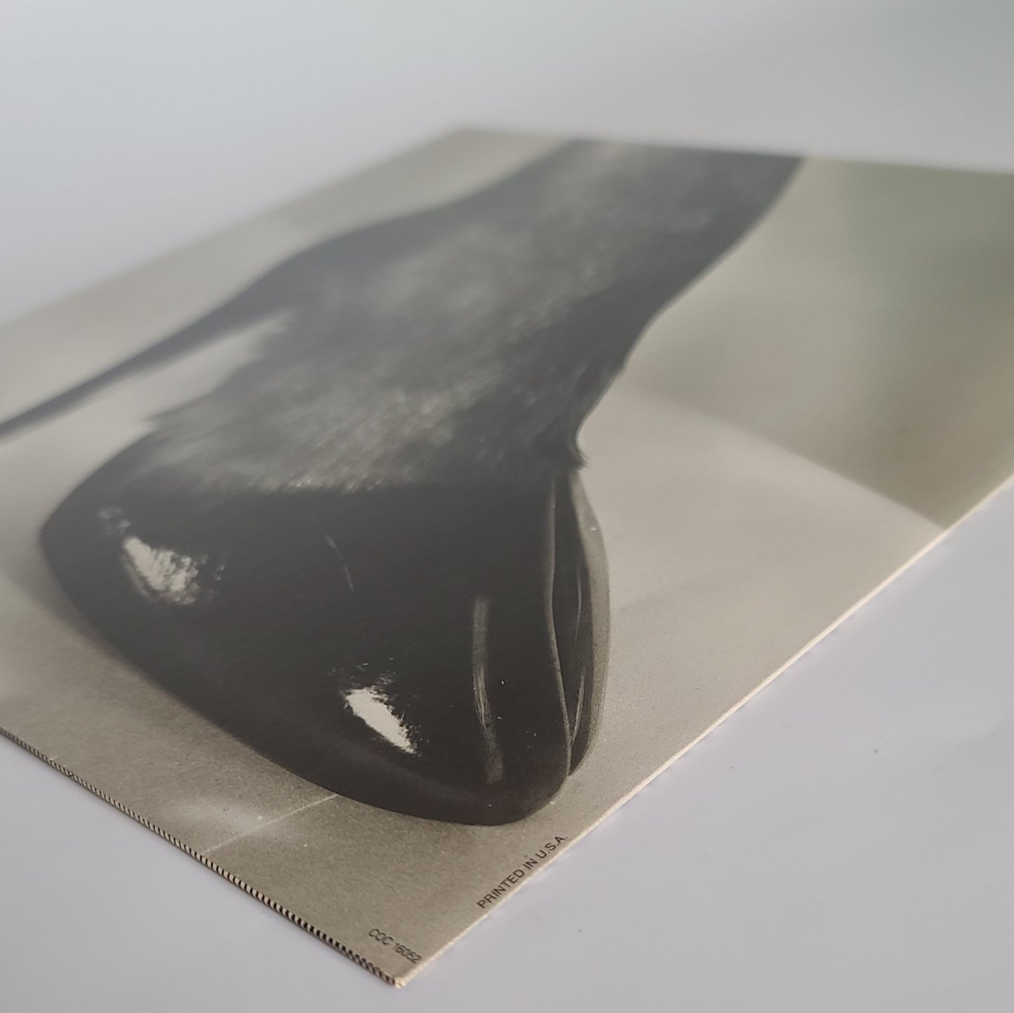 The Rolling Stones ‘Tattoo You’ Vinyl