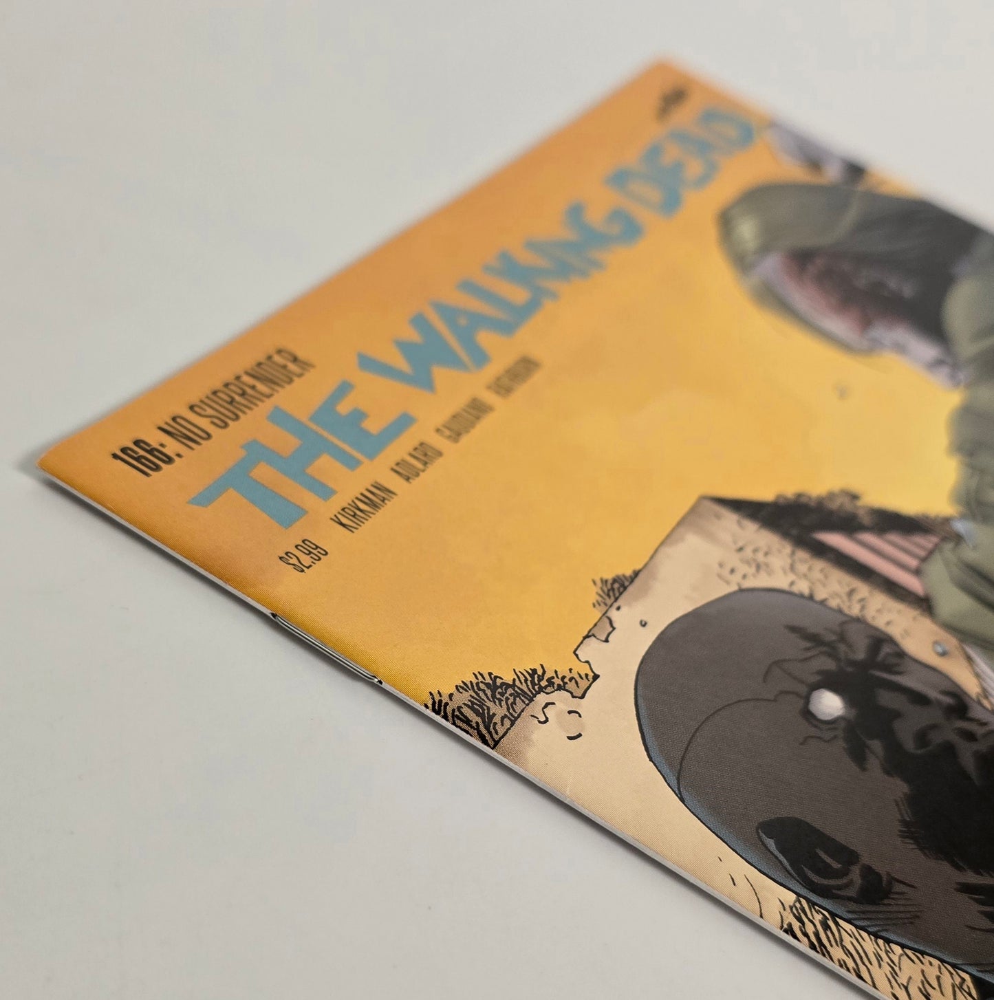 The Walking Dead #166 (2017)