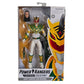 Hasbro Power Rangers ‘Mighty Morphin Lord Drakkon’ Action Figure